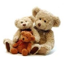 Teddy Bear
